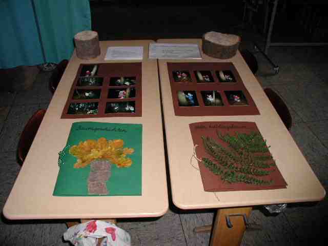 Ausstellungstisch beim Schulfest