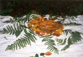 Farnbl&auml;tterkunst